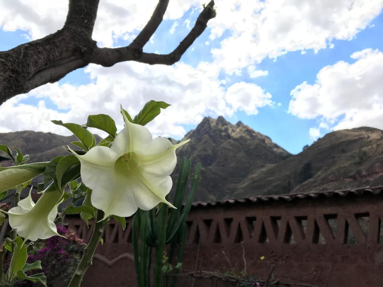 Pisac Inca Guest House Екстер'єр фото